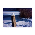 Trademark Fine Art Anthony Paladino 'Snow Capped Fence Post Along Pond' Canvas Art, 16x24 ALI38636-C1624GG